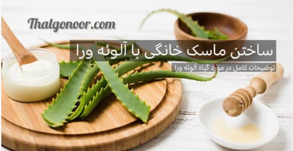 طرزاستفاده آلوورا برای پوست صورت|استفاده از آلوئه ورا به شکل انواع ماسک های خانگی